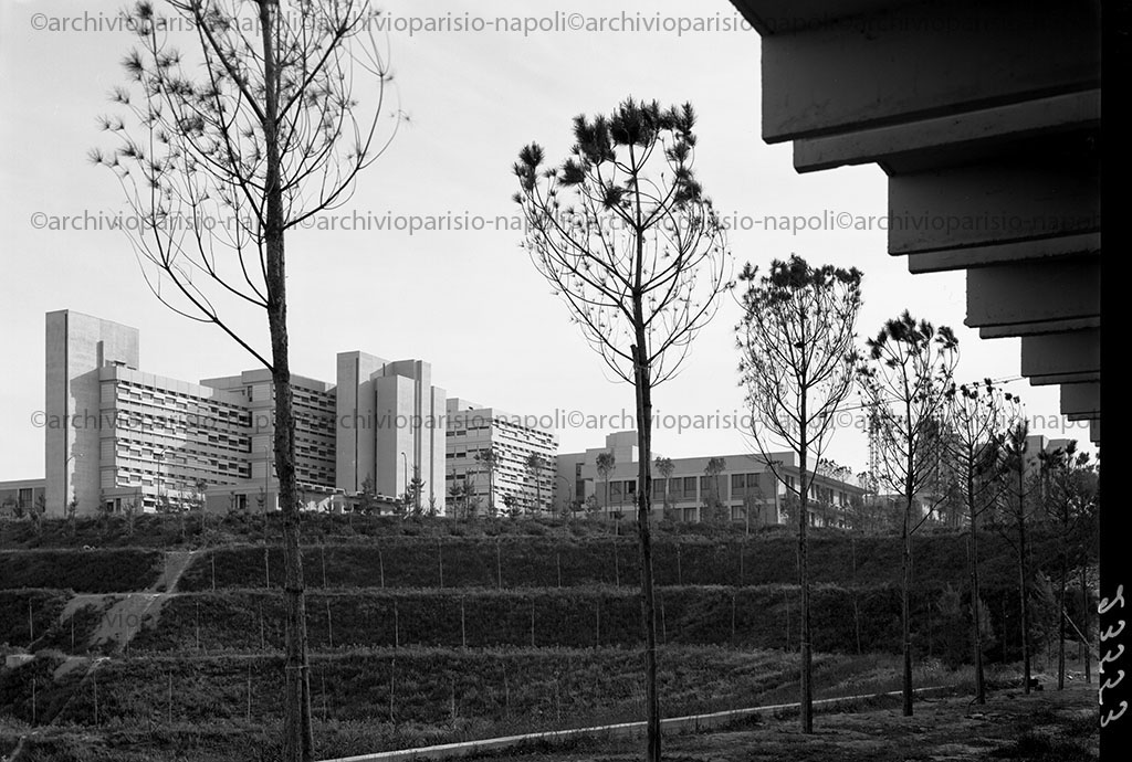 veduta esterna dei padiglioni del Nuovo Policlinico
